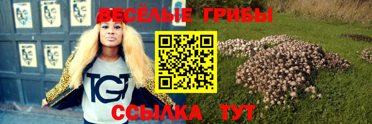 где купить наркоту  Вход с VPN  Вятские Поляны  Галлюциногенные грибы прущие грибы 